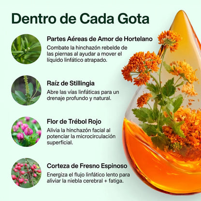 Drenaje Linfático Mayaverra — Gotas Naturales